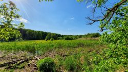 210530_Strausberg-011