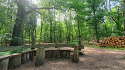 Spandau Forest