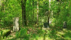 210605_Joachimsthal-011