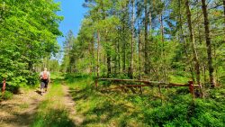 210605_Joachimsthal-029