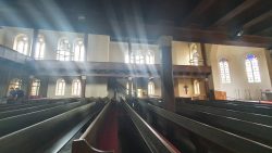 210612_Fuerstenberg-004