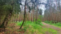 210612_Fuerstenberg-008