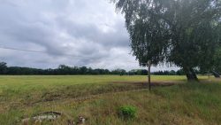 210612_Fuerstenberg-009