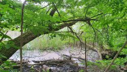 210620_Teufelsberg-001