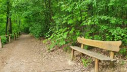 210620_Teufelsberg-002