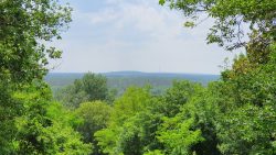 210620_Teufelsberg-008
