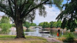 210625_Landwehrkanal-005