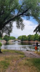 210625_Landwehrkanal-006