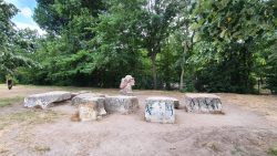 210625_Landwehrkanal-008