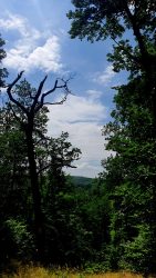 Ausblick vom Mierenberg