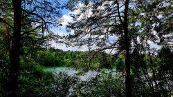 Blick vom Wanderweg auf den Tonsee