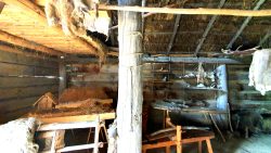 Eine germanische Behausung