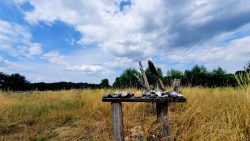 Opfertisch im germanischen Dorf