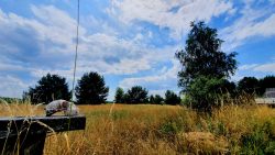 Ein Tierschädel im germanischen Dorf