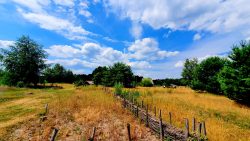 Das germanische Dorf bei Klein Köris