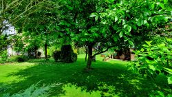 Privater Garten am Tiergarten