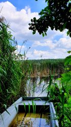 Ausblick auf den Zeesener See