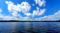 Ausblick auf den Zeesener See vom Bootsteg aus