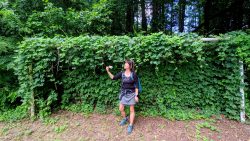 Zugewachsenes Tor auf dem Campingplatz am Zeesener See