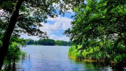 Ausblick auf den Zeesener See
