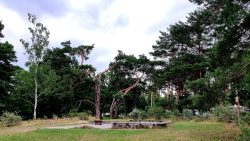Überreste von Tonabbauindustrie auf dem Campingplatz bei Klein Köris