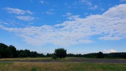 Felder bei Klein Köris