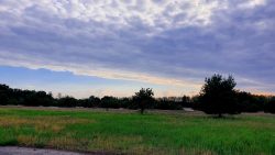 Felder bei Klein Köris