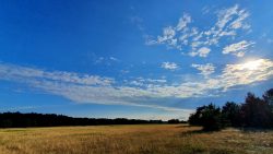 Felder bei Klein Köris