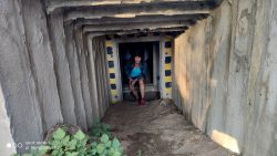 Ein Blick in den Bunkereingang