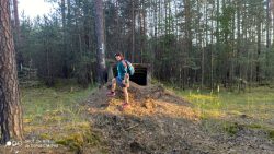 Wieder einen Eingang gefunden