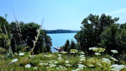 Aussicht auf den Schwermützelsee von der weißen Taube