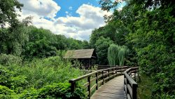 Kleiner See am Schenkendorfer Flur