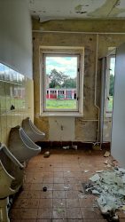 Einsichten in die Hygiene