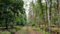 Weitere Hindernisse auf den ehemaligen Gleisanlagen