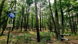 Auch ein Stück Mauerweg war dabei