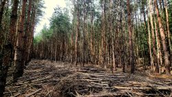 Wege, die nirgends verzeichnet sind und unzugänglich gemacht werden