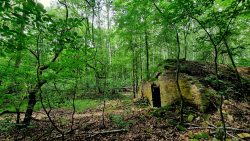 Blick auf die Kirchenruine