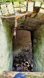 Blick durchs Seitenfenster, Kirchenruine