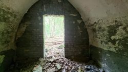 Blick von innen nach aussen, Kirchenruine