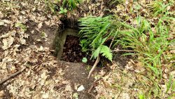 Ein quadratisches Loch im Waldboden