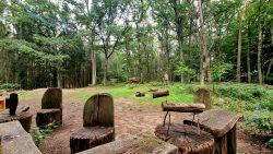 Ein toller Platz zum Ausruhen, Spandauer Forst