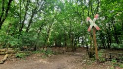 Bahnübergang und Bahnsteiganlagen