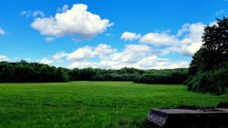 Wiesen an der Landsberger Chaussee, Hauptweg