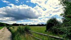 Weidewiesen auf dem Hauptweg, nähe Postbruch