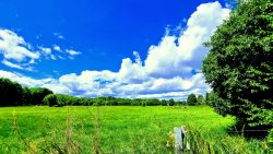 Weidewiese auf dem Hauptweg, nähe Postbruch