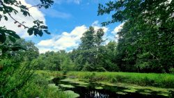 Die Bries zaubert eine faszinierende Landschaft