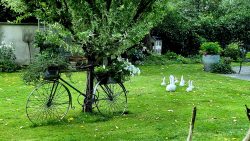 Paradiesgarten heisst sehr passend der Weg, an dem dieser Garten liegt