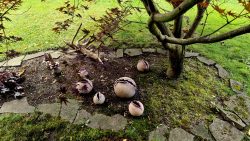 Überall kleine Kunstwerke am Paradiesgarten