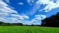 Wiesen westlich von Hohen Neuendorf