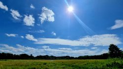 Wiesen an der Briese